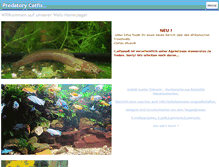 Tablet Screenshot of catfish-and-more.com